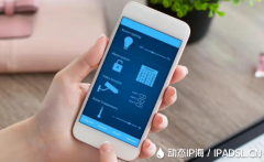 解析動態(tài)IP代理在手機中的用途