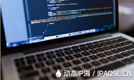 哪種方式可以獲取動態(tài)IP地址？